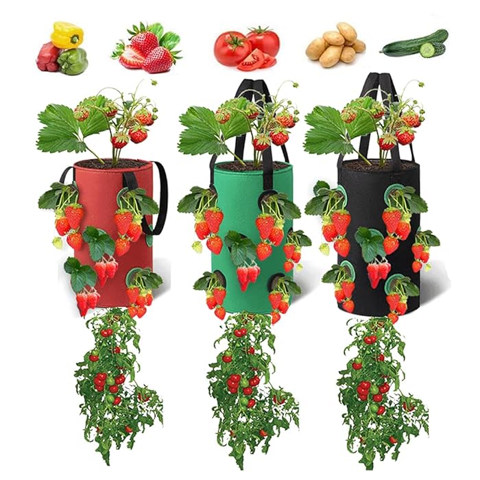 Buy 3PCS Upside Hanging Strawberry Grow Bags PlanterGreen + Black