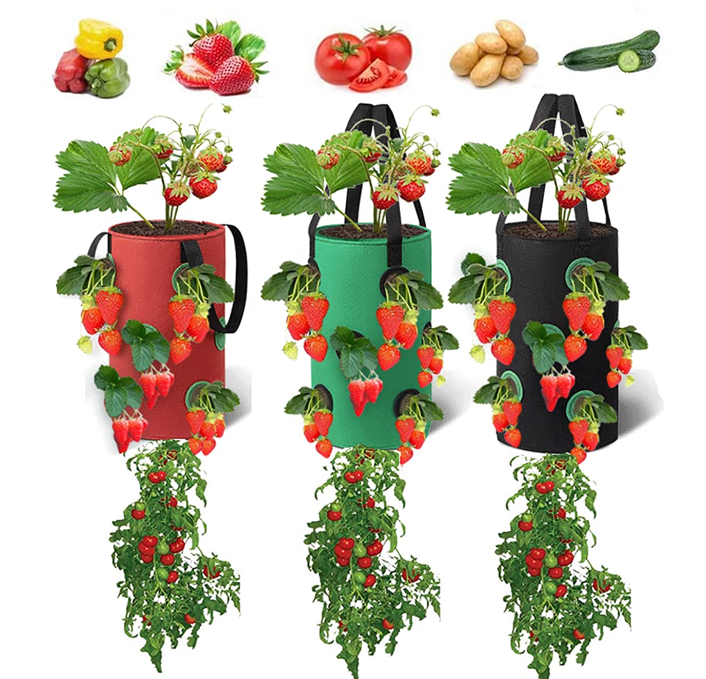 Buy 3PCS Upside Hanging Strawberry Grow Bags PlanterGreen + Black