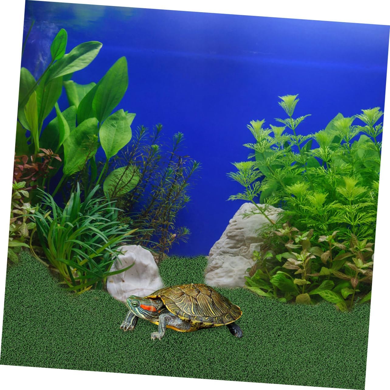 Turtle Floating Platform Ramp for Aquarium, Simple Climb Green Plastic