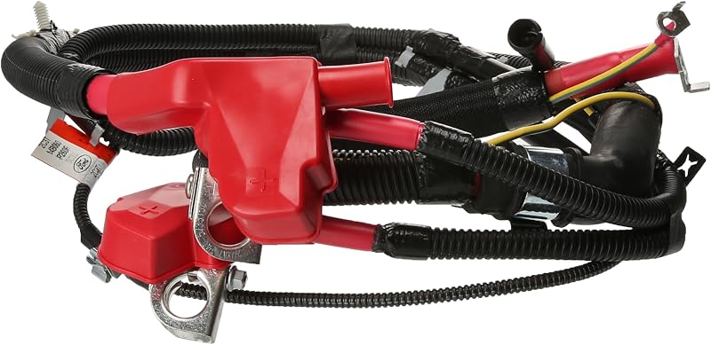Cabo para interruptor de bateria Motorcraft WC95681 – 1 unidade