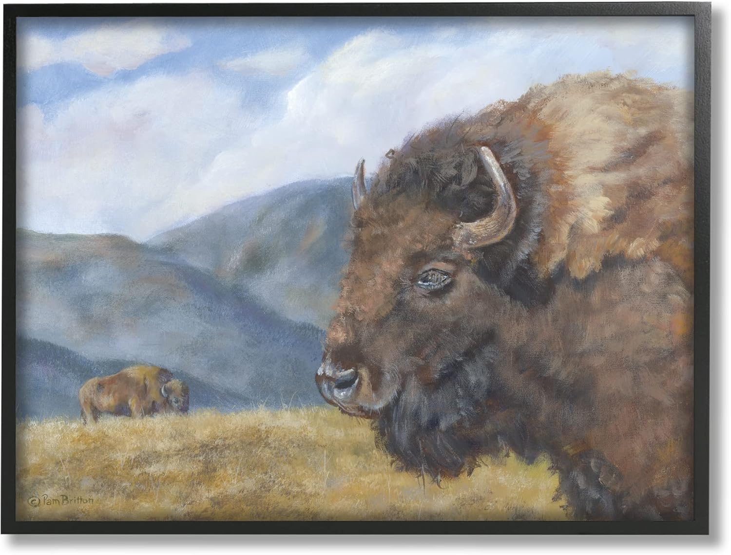 Stupell Industries Countryside Bison Grass Grazing Mountains Cloudy Landscape,Design by Pam Britton
