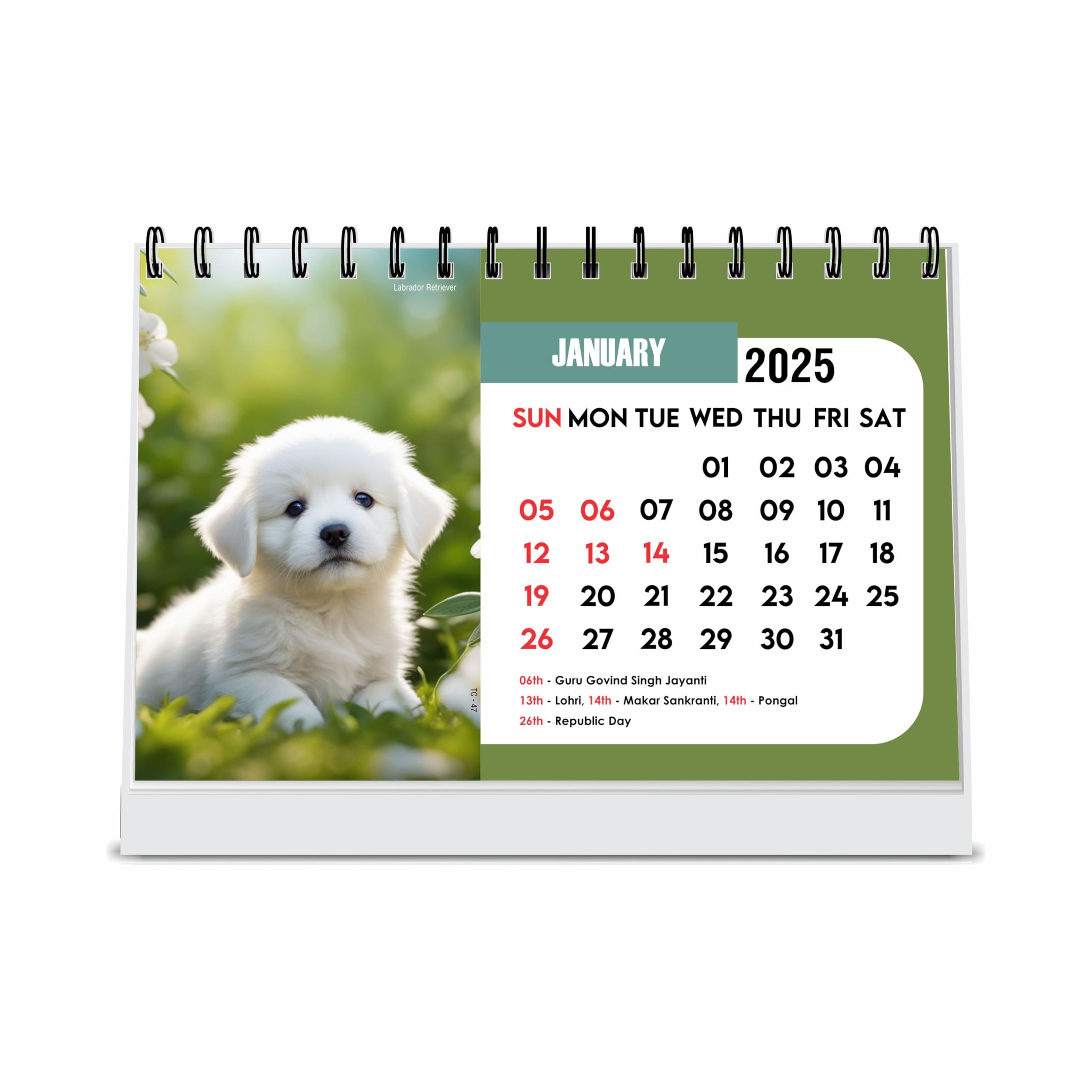 ESCAPER Cute Puppies Dog Calendar 2025 Desk, Cute Puppy Calendar 2025