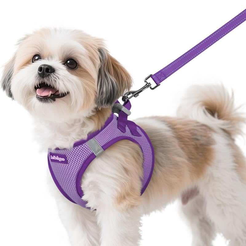 Peitoral para cães pequenos rabbitgoo Vest com guia, tecido macio Light Purple & Purple, tamanho S