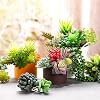 Product Photo 6