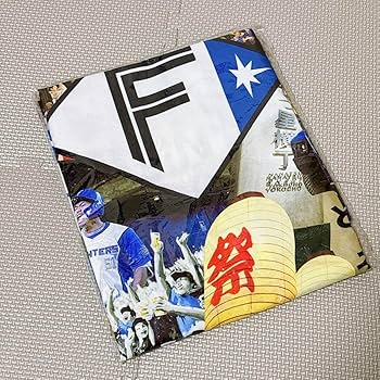 Amazon.co.jp: 北海道ファイターズ 超夏ハッピ 法被 2枚 セット 日ハム