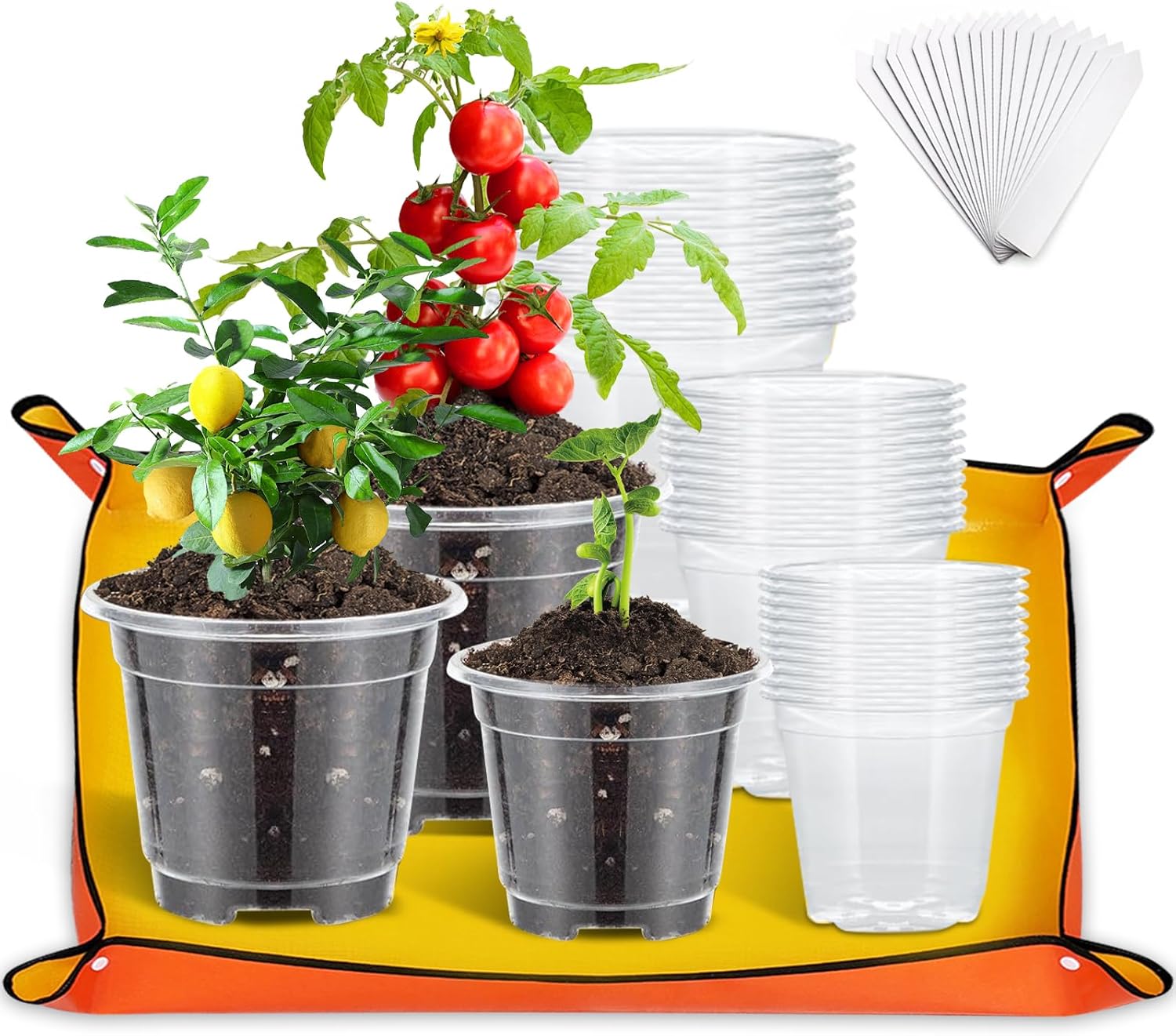 30 Stück Klare Anzuchttöpfe mit Pflanzmatte, Klare Orchideentöpfe 9cm 10.5cm 12.5cm Rund Transparente Blumentöpfe mit Ablauflöchern, 66 x 66cm Umtopfmatte mit 30 Pflanzenetiketten für Samen