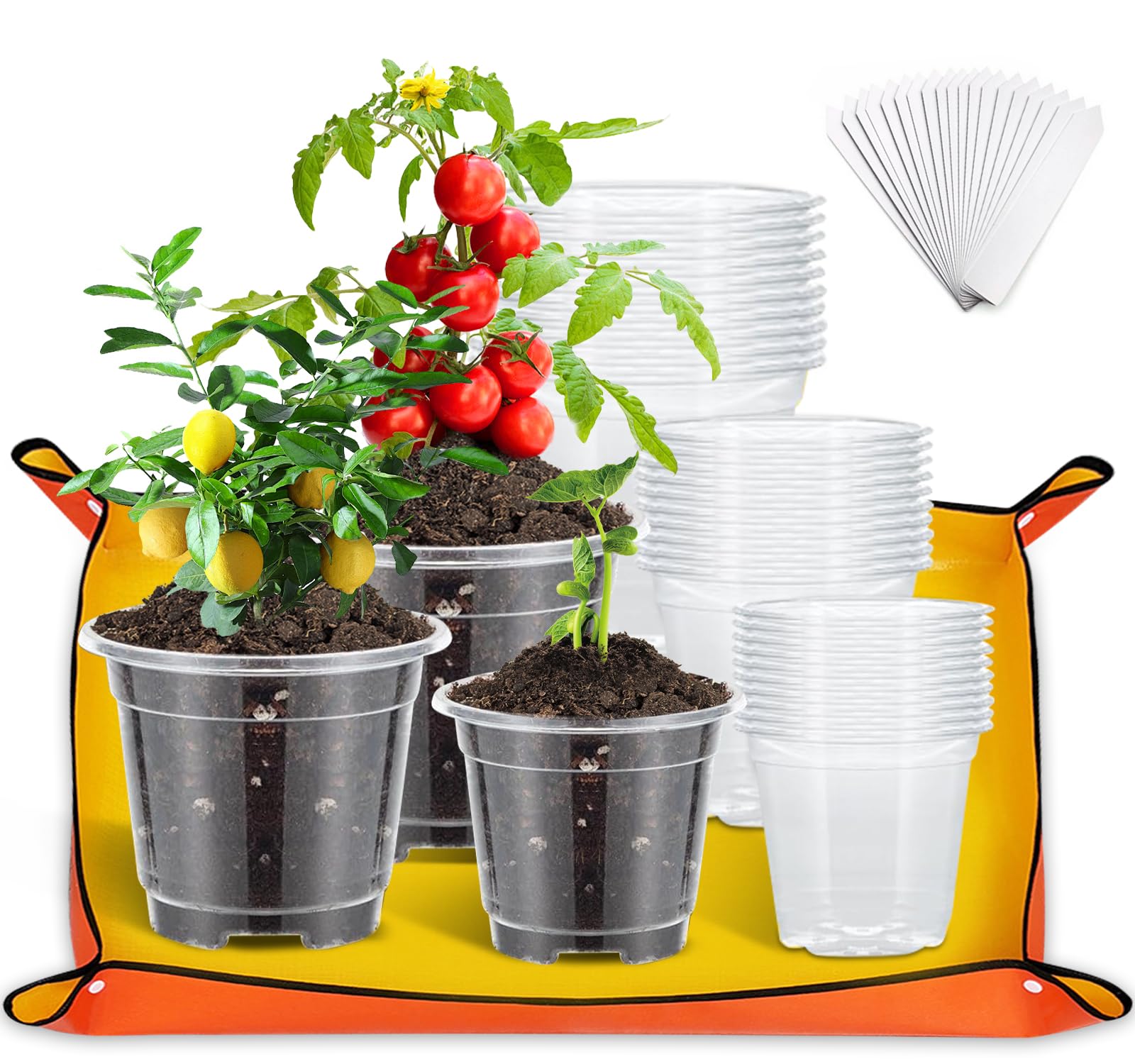 30 Piezas Maceta de Plástico con Estera de Jardinería, 9cm 10.5cm 12.5cm Macetas de Plastico con Agujeros de Drenaje, Macetas de Plántulas con 30 Etiquetas,para Jardín Balcón Semillas Flores