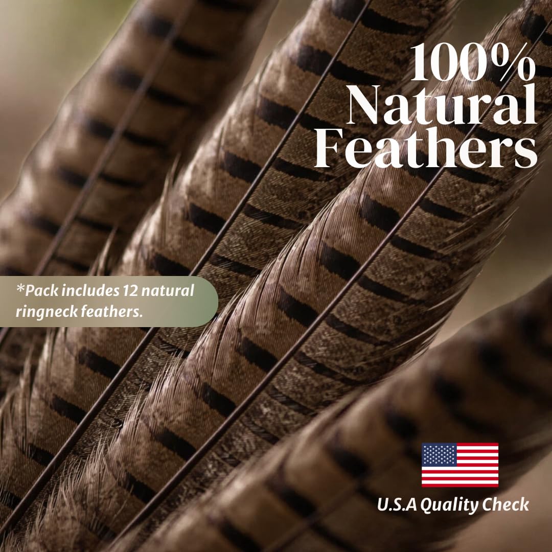 Schuman Feathers 12 Natural Ringneck Pheasant Feathers 14-18 Inch for Vase Decoration Millinery and DIY Crafts Rustic Elegant Texture