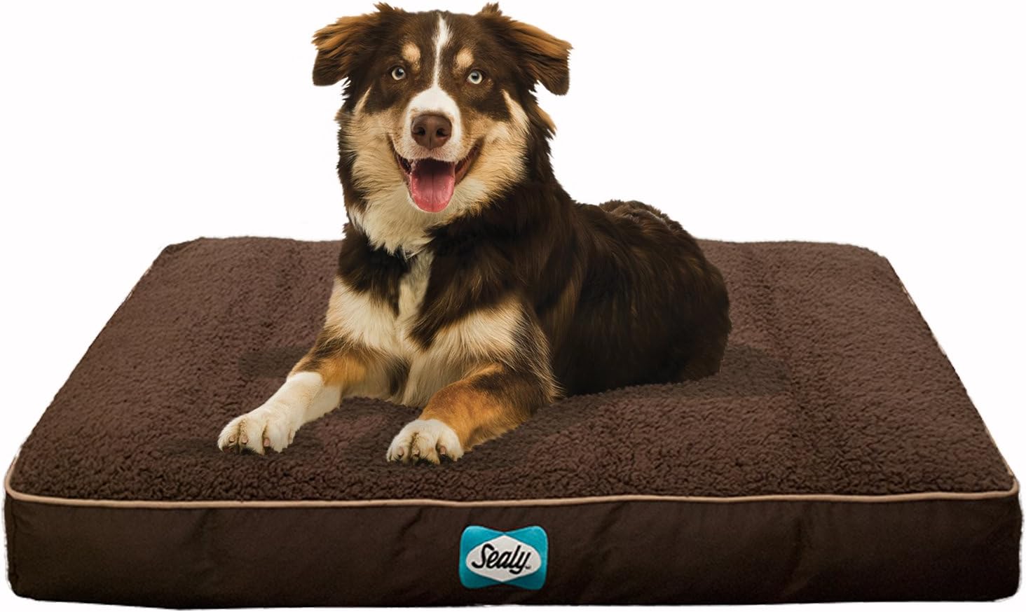 Sealy Dog Bed Cozy Comfy Sherpa Bed, Medium, Brown