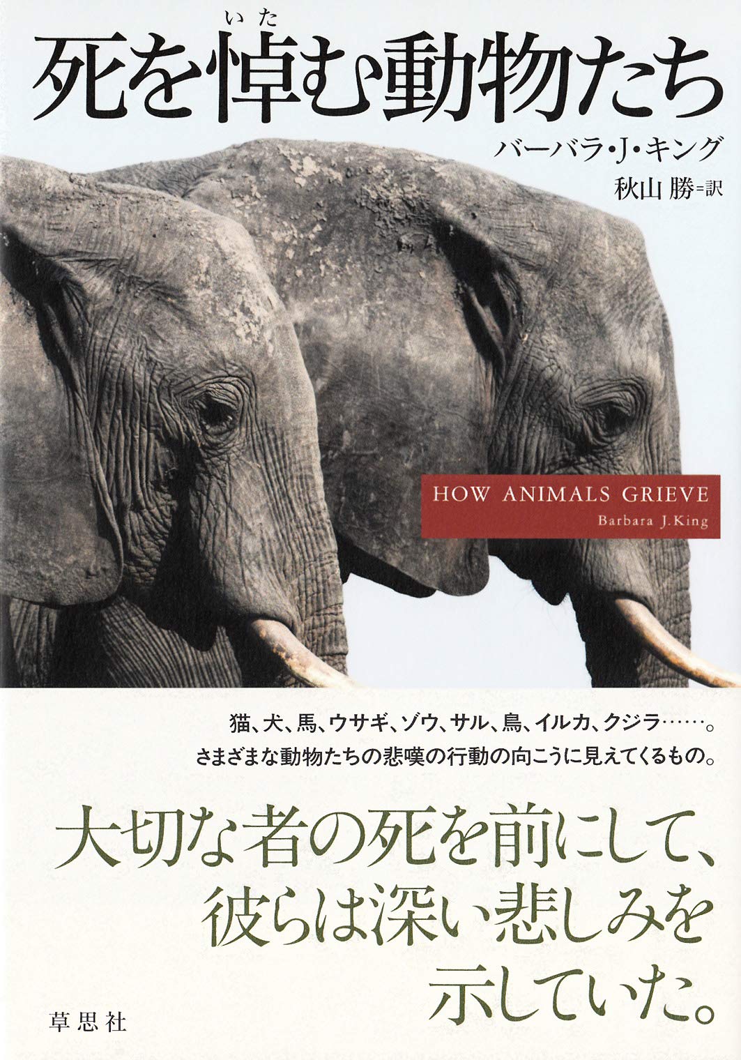 死を悼む