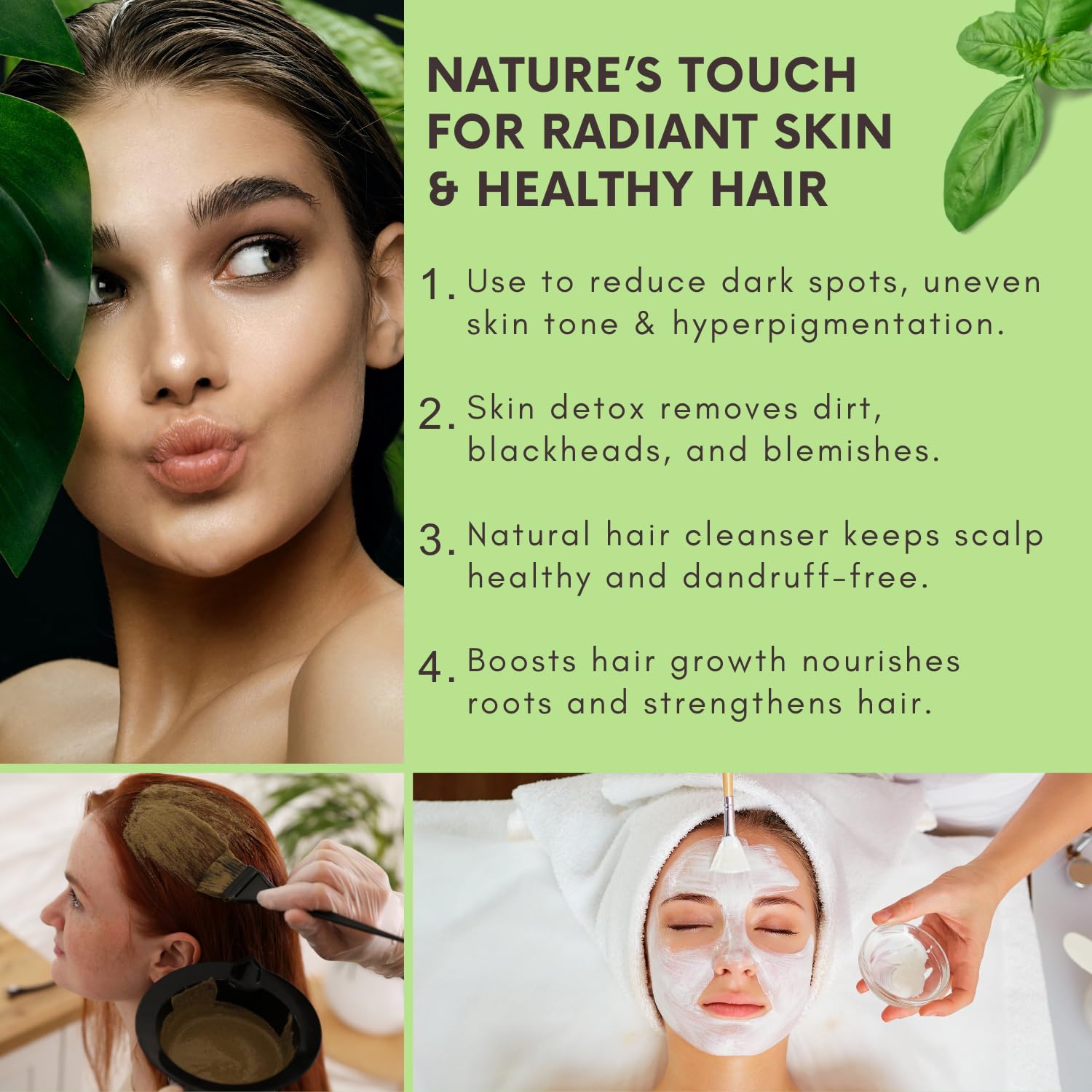 Bliss of Earth� 100% Pure Basil Leaves Powder | Ayurvedic Tulsi Powder | (100GM) | Great For Hair, Skin, Face 2