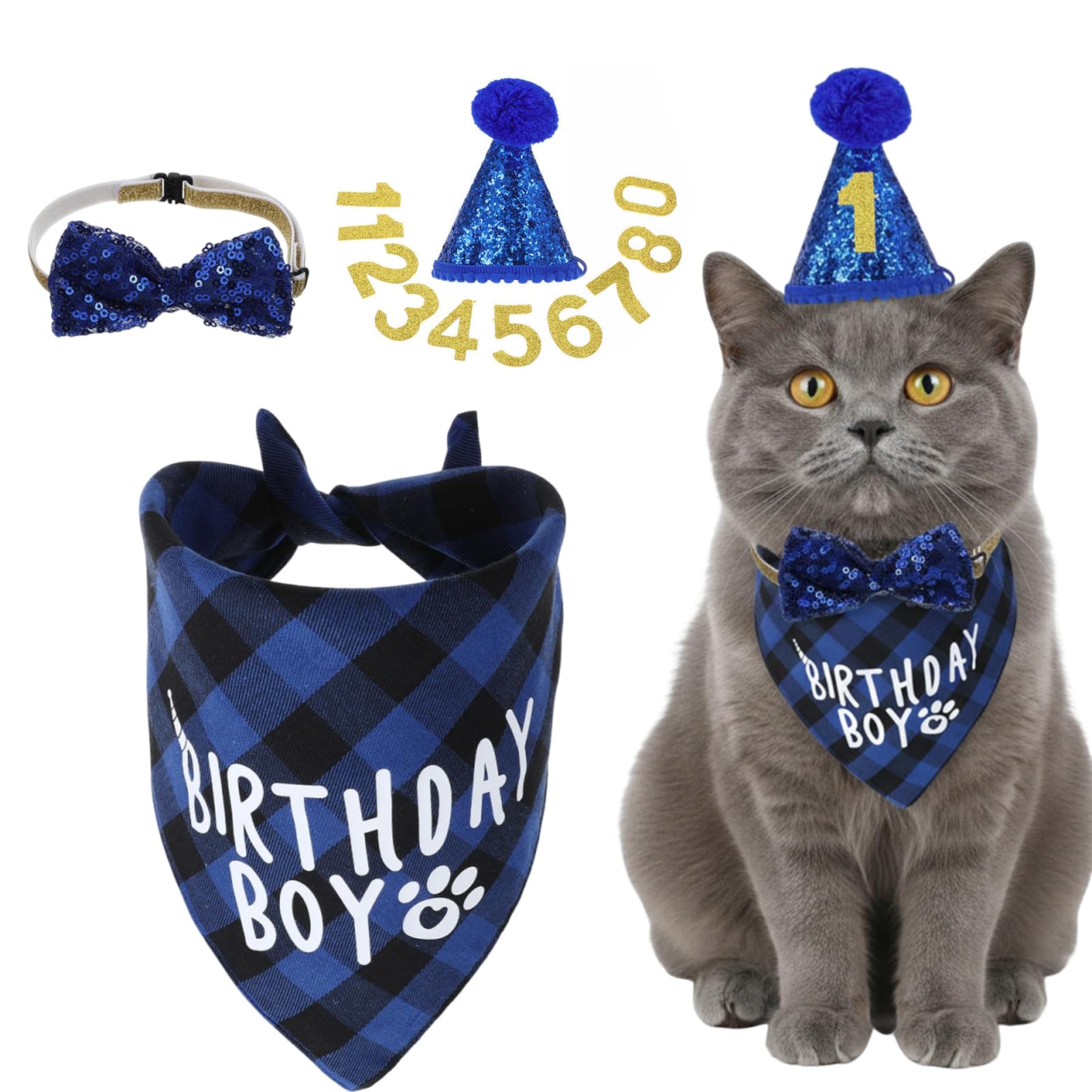 4-Piece Cat Birthday Set, Cat Hat and Birthday Cake for Cats, Cat Outfit with Adjustable Bandana, Pet Celebration Accessories for Birthday Parties and Family Gatherings