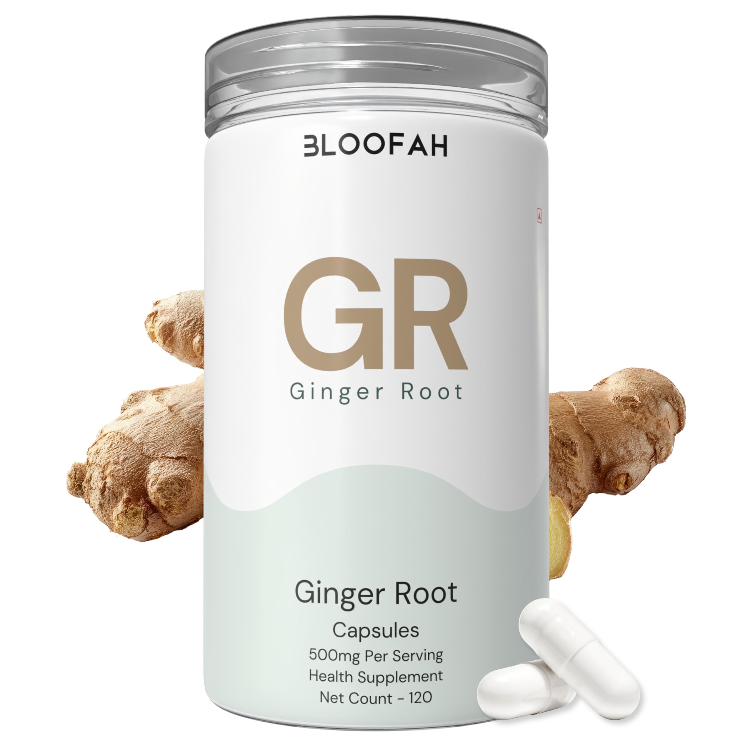 Bloofah GR Ginger Root Extract Capsules 500mg β (Zingiber officinale) Botanical Supplement, Ginger Supplement for Digestive Comfort, Daily Balance & Routine Wellness, Gluten-Free Formula (120 Count (Pack of 1))