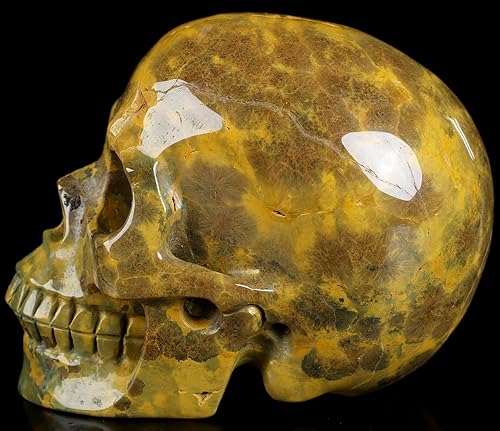 Vista 17 de Skullis Calavera de cristal de jaspe oceánico de 5.0 pulgadas, escultura de arte fino de piedras preciosas talladas a mano, estatua de piedra Jaspe
