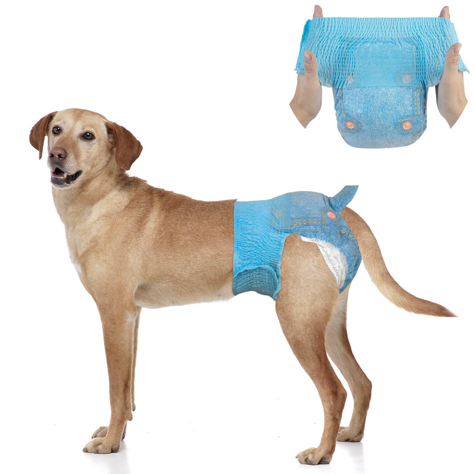 DONO Pannolini Cani Femmine, 10 pezzi, mutandine mestruali per cani con elastico in vita, pannolini pull-up Dogie, super assorbenti, L (34-54 cm)