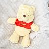 Kids Preferred Disney Baby Winnie the Pooh y Amigos Peluche con Cascabel y Arruga, Pooh 12” 8