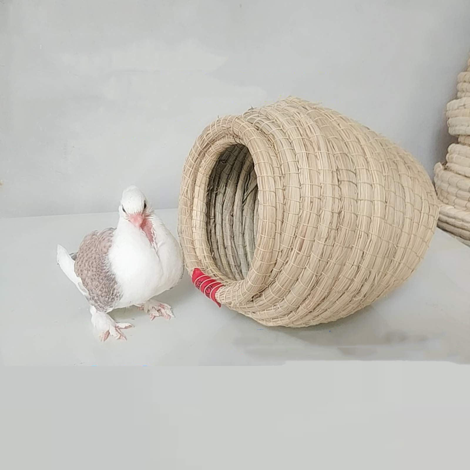 Nidi per Uccelli Giardino Esterno Courtyard Pigeon Bird Bird Nest Avolary Tessuto con Olio ed Erba, Gabbia per Uccelli Lavabile, 24x20x19cm (Color : 2 Pieces)