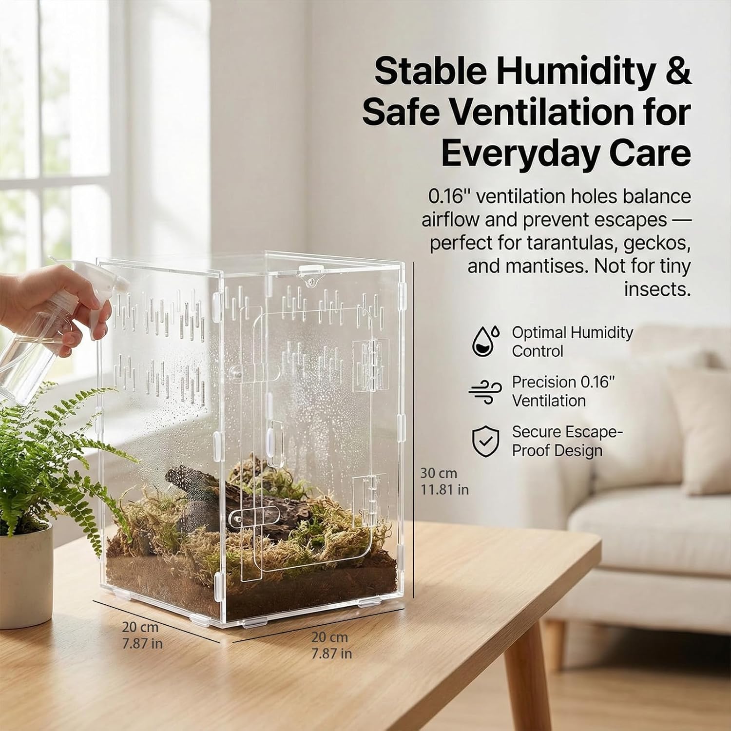 Tarantula Enclosure 8x8x12 Acrylic Terrarium: Front Opening Jumping Spider Enclosure with Door Lock for Crested Gecko Hermit Crab - All-Side Ventilation Arboreal Frog Habitat Gift for Reptile Hobbyist