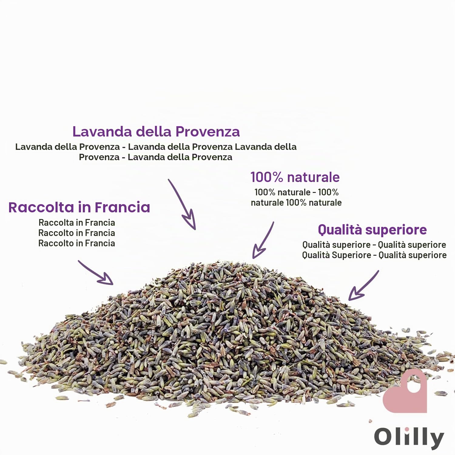 OLILLY - 1 KG - Raccolta 2025 - Fiori di Lavanda Essiccati di Provenza (Lavandin Grosso, 1000 Grammi)