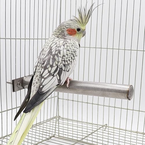 Miniatura 2 de Soporte de perca para pájaros, palos de moler de patas de loro de acero inoxidable, accesorios para jaula de pájaros, ramas de pie para pájaros,