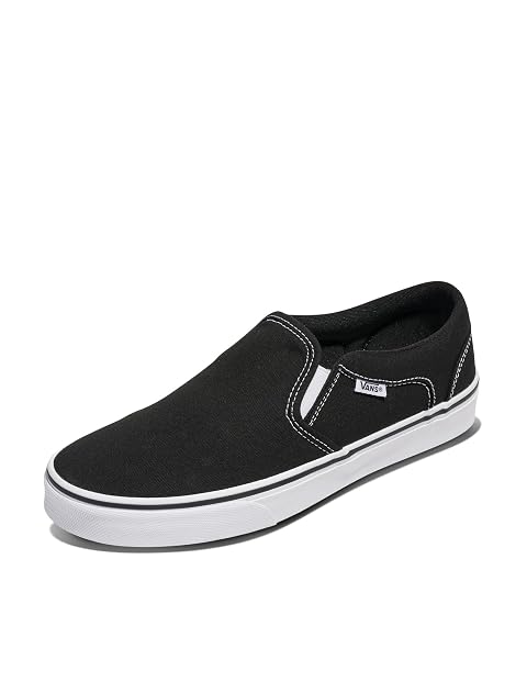 Vans Mens Asher Slip-On Shoe