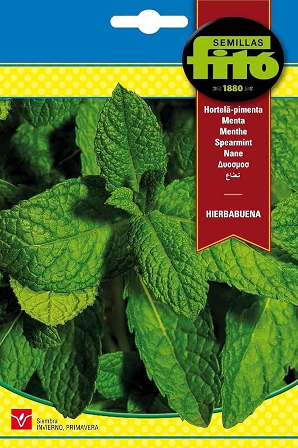 Eurogarden - Semillas de Hierbabuena, Planta aromática culinaria, 0,1 g - 6234