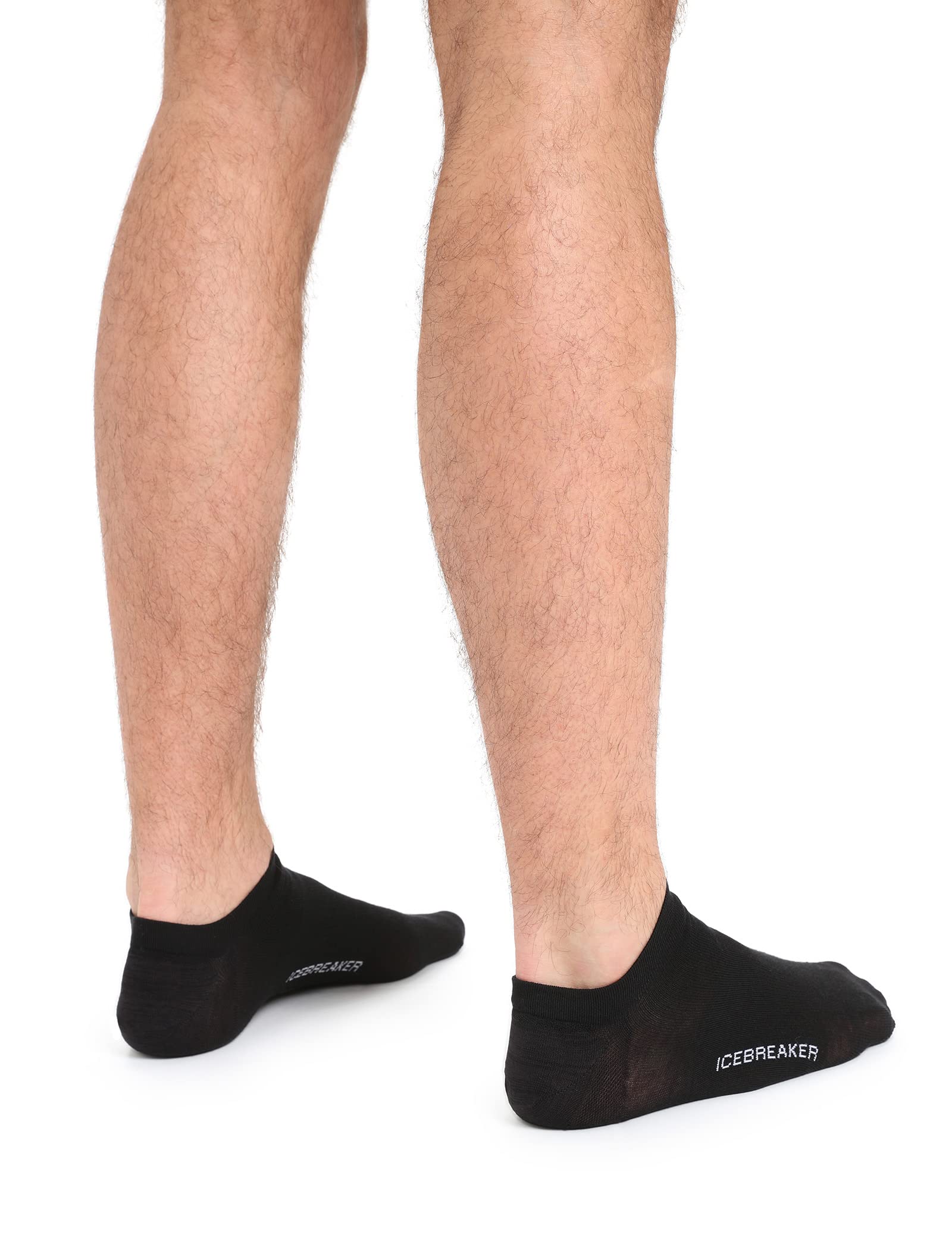 icebreaker Men's Lifestyle Fine Gauge No Show Socks Lifestyle Fine Gauge No Show Socks