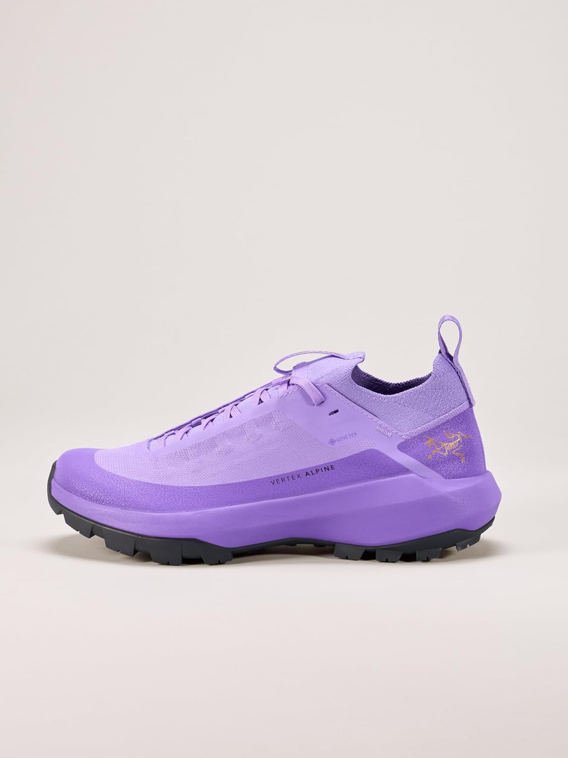 Arc'teryx Vertex Alpine GTX Shoe Women's | Fast and Light Gore-Tex Approach Shoe