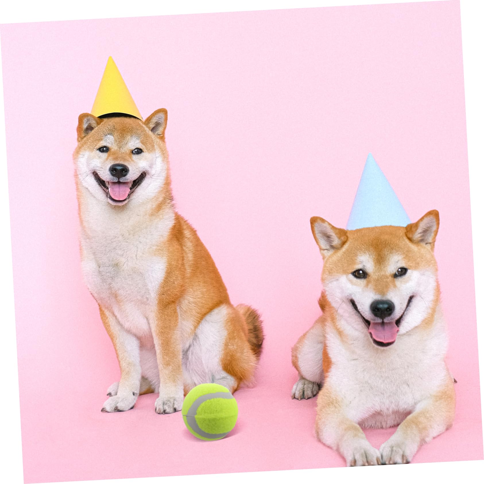 BESPORTBLE Interaktive Hundespielzeugbälle 22 Stück Hüpf-tennisbälle Hundetrainingsbälle Quietschend Robustes Spielzeug für Haustiere