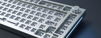 Glorious PC Gaming Race GMMK Pro White Ice 75% TKL Tastatur - Barebone, ANSI-Layout, silber