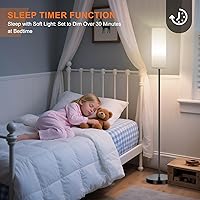 Vista 6 de FRIDEKO HOME Paquete de 2 lámparas de pie para sala de estar, colores regulables, temperatura y brillo, lámpara de pie moderna con control remoto