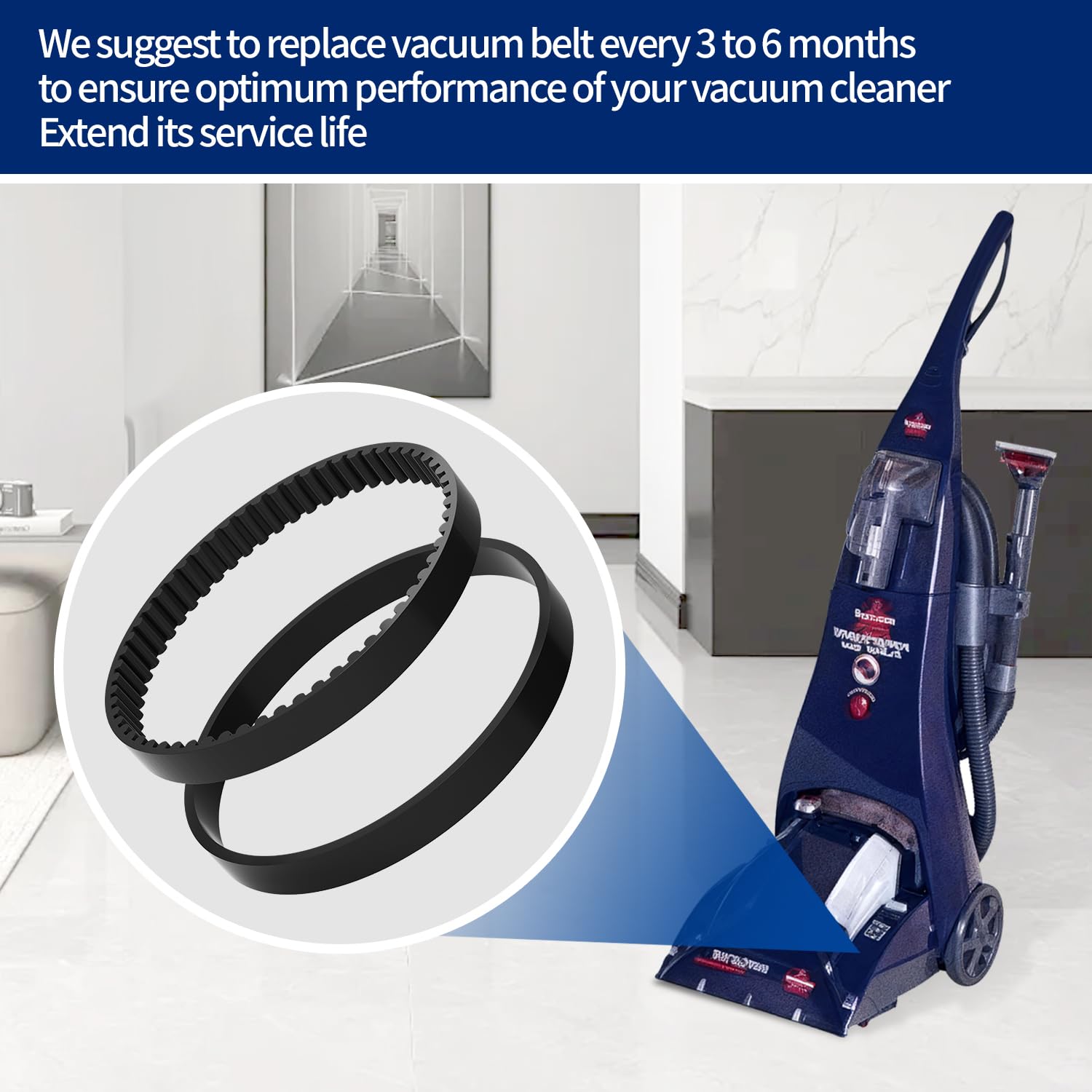 Replacement Belts for Bissell Proheat Vacuum – 2-Pack Brush & Drive Belts – Fits Models 1694W, 1697, 1698, 1699, 1799, 1846, 7901, 7920, 7950, 8806, 8905, 8910 – Replaces Parts 0150621 & 2150628