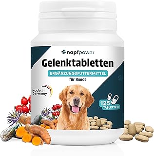 Gelenktabletten Hund (125 STK.) mit Grünlippmuschel - Leckerli mit MSM, Teufelskralle, Glucosamin, Hyaluron & Kurkuma Unterstützt die Gelenke & Knochen