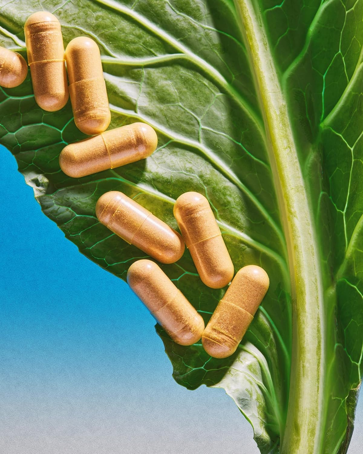 ROOT Wellness Zero-In von Dr. Rahm – Hochwertige Kombination aus Kurkuma und Kiefernrindenextrakt – 60 Kapseln | Kapseln mit Kurkuma, Kiefernrindenextrakt und Vitamin D3 – ideal für die tägliche Ergänzung Ihrer Ernährung.