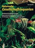 Naturnahe Gesellschaftsaquarien