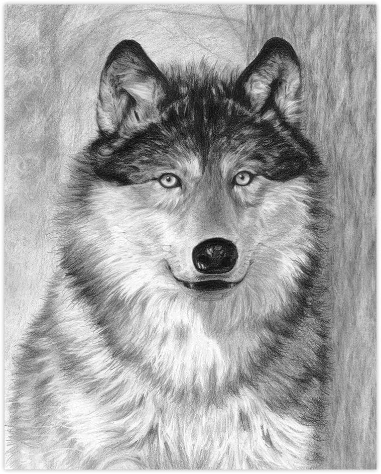 Royal Brush SKBN-18 Sketching Made Easy Kit, 9-Inch by 12-Inch, Alpha