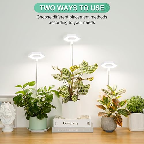 Miniatura 16 de FOXGARDEN Luz de crecimiento, luz LED de espectro completo para plantas de interior, lámpara de cultivo con temporizador de encendido/apagado Blanco