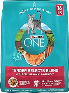 Purina ONE Natural Dry Cat in Pakistan