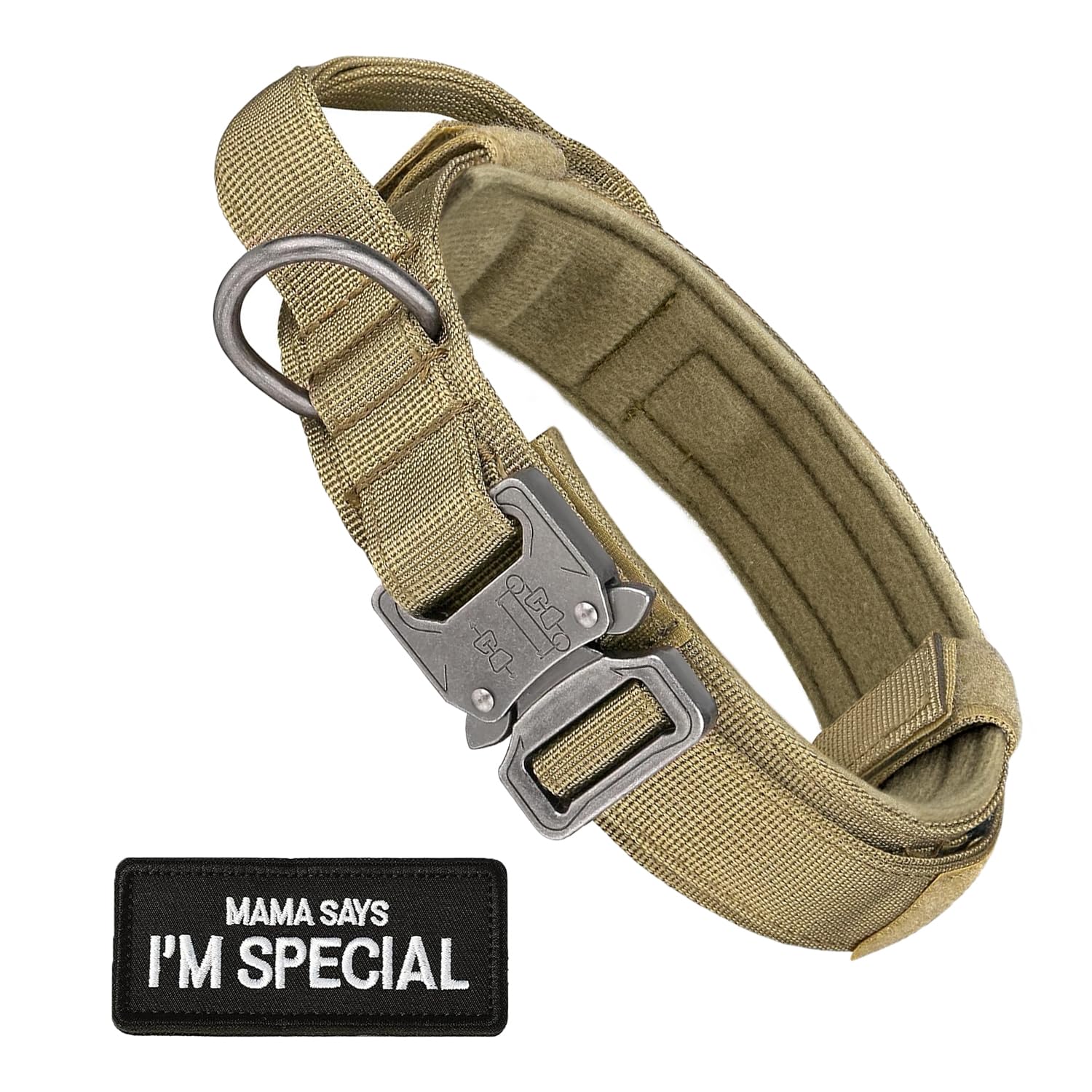 Collier militaire pour grand chien idéal pour randonnée et sorties nature