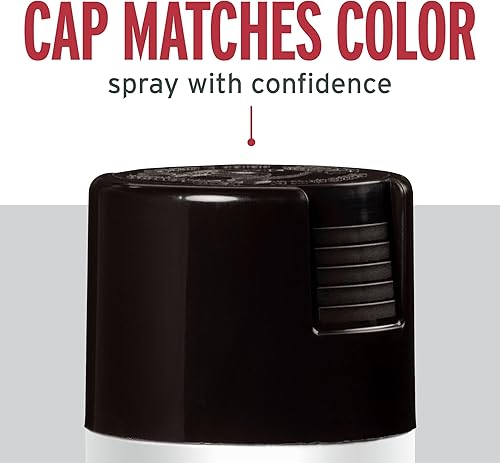 Vista 87 de Rust-Oleum 7776830 Stops Rust Spray Paint, 12 oz, Flat Black