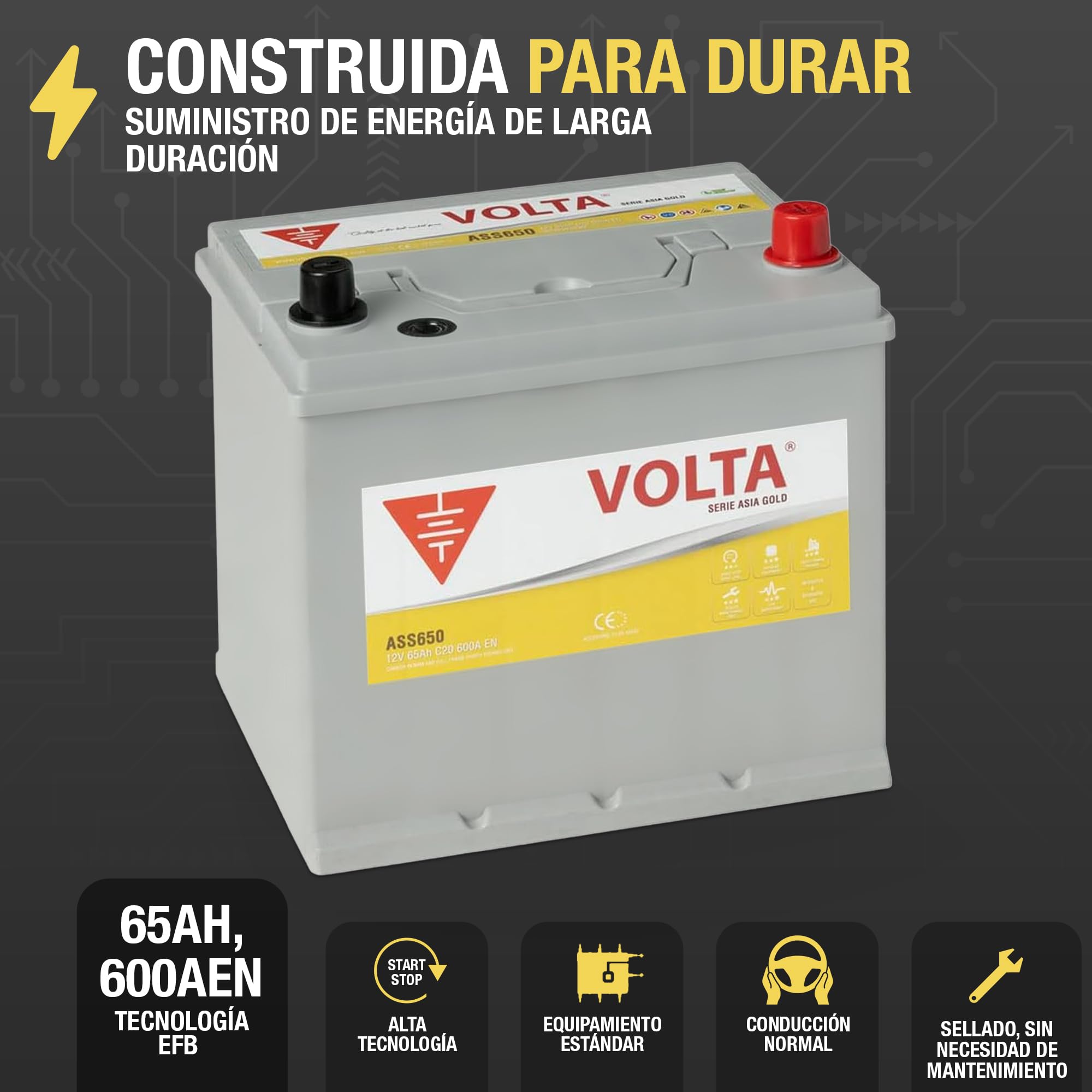 Batería de Coche Start-Stop EFB 65Ah 600 AEN - Volta Gold Asia ASS650D - Sistema Start-Stop - Borne +Derecha - Medidas Largo 230 x Ancho 173 x Alto 225 mm con 2 Años Garantía - Fabricación Europea