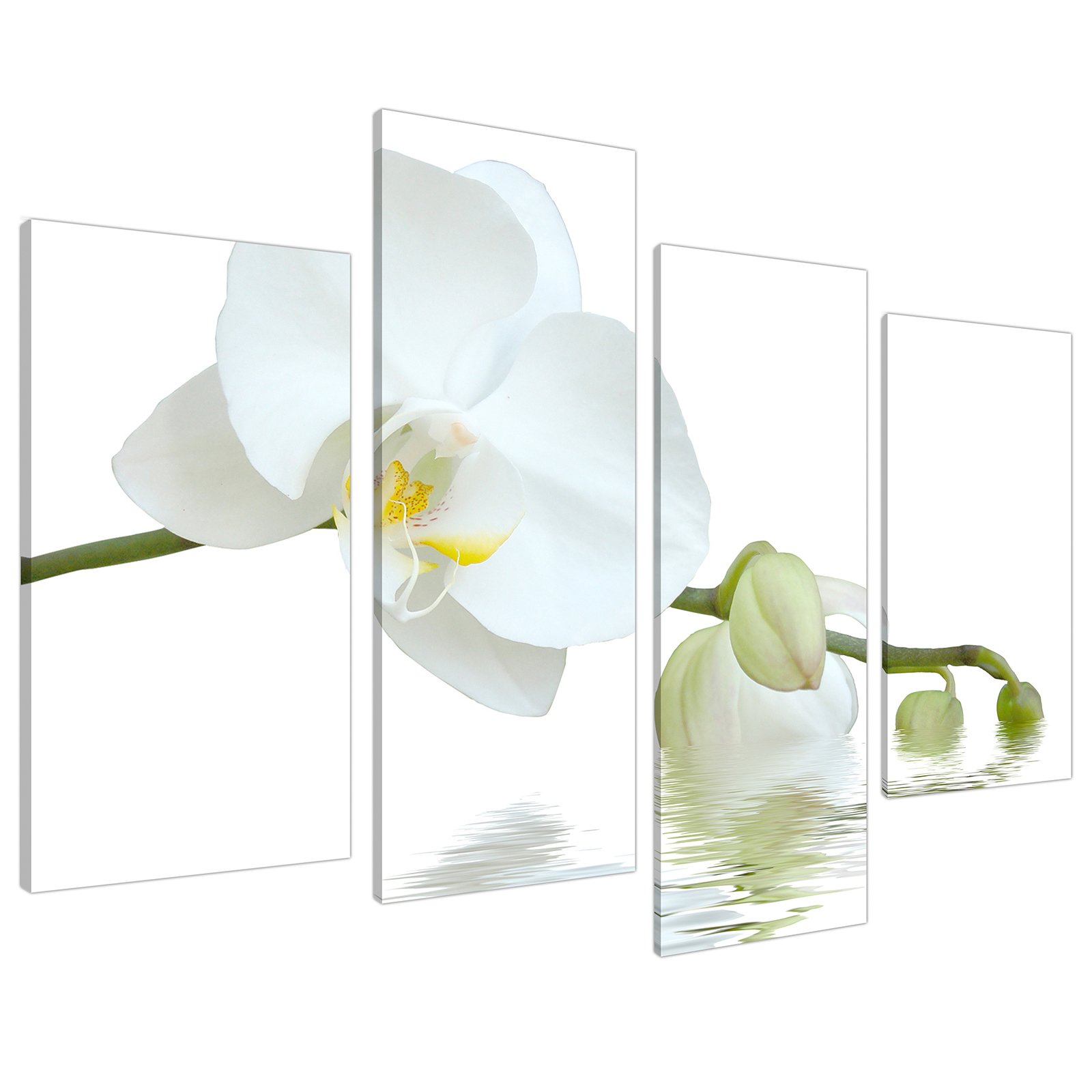Wallfillers Large White Orchids Green Canvas Wall Art Pictures Set Prints XL 4134