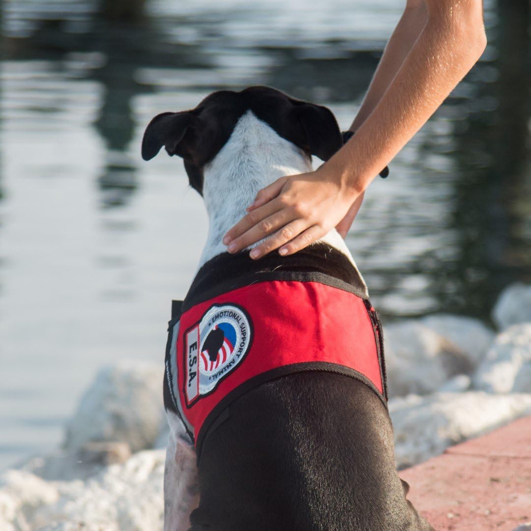 Premium ESA Emotional Support Dog Vest - Reflective - Zipper Pocket - ID Holder - Includes 5 Federal Law ESA Handout Cards (23-29" Girth, Orange)