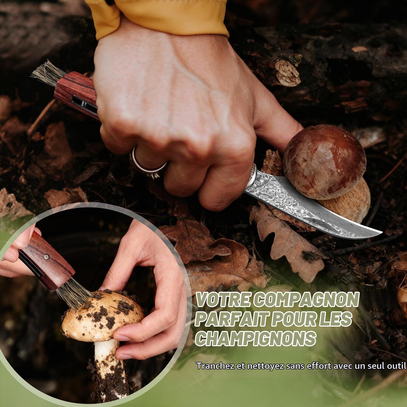 DRACHENADER Couteau Champignon Damas avec Brosse Intégrée, Couteau à Champignon Pliant Forgé à la Main avec Liner Lock, Idéal pour la Cueillette des Champignons