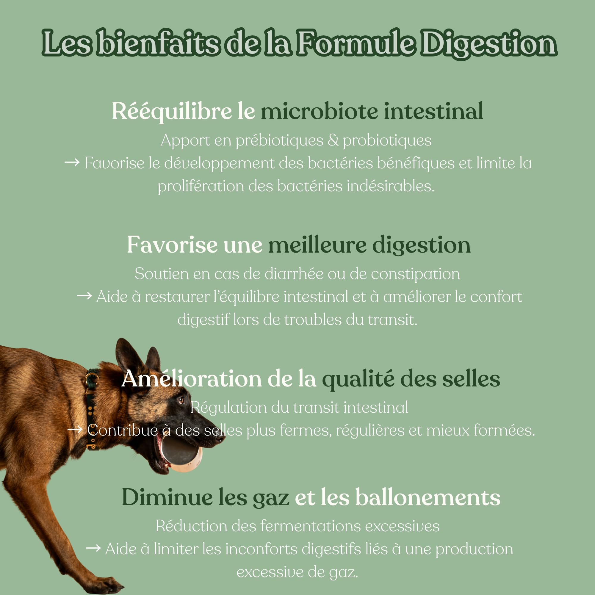 Probiotique Chien - 120 compléments Digestion Premium - Anti diarrhée Chien - Complexe Prébiotiques,probiotiques et prébiotiques - Formule vétérinaire - Marque française
