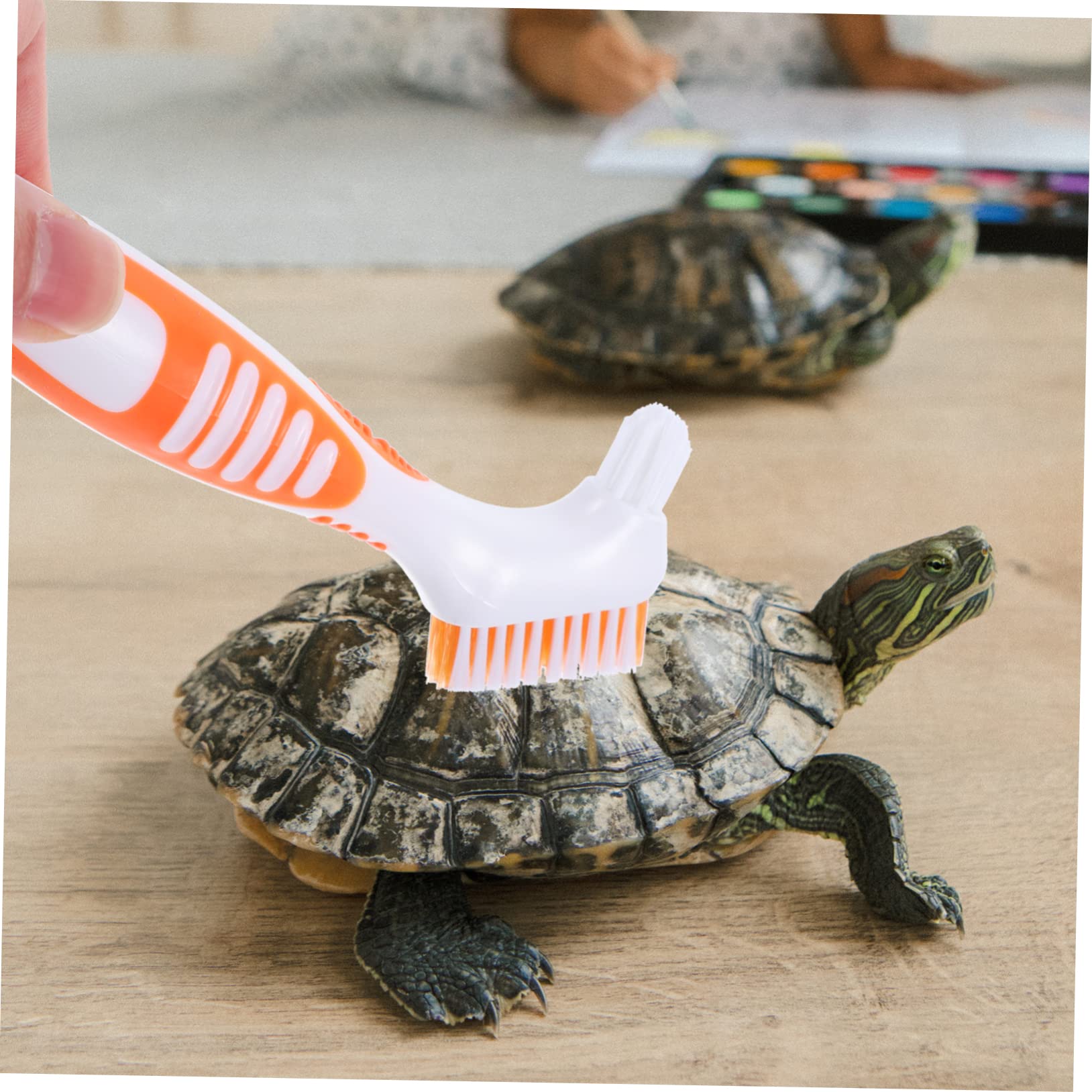 Schildkröten Panzer Bürste - Doppelseitige Reinigungsbürste Für Aquarium & Terrarium