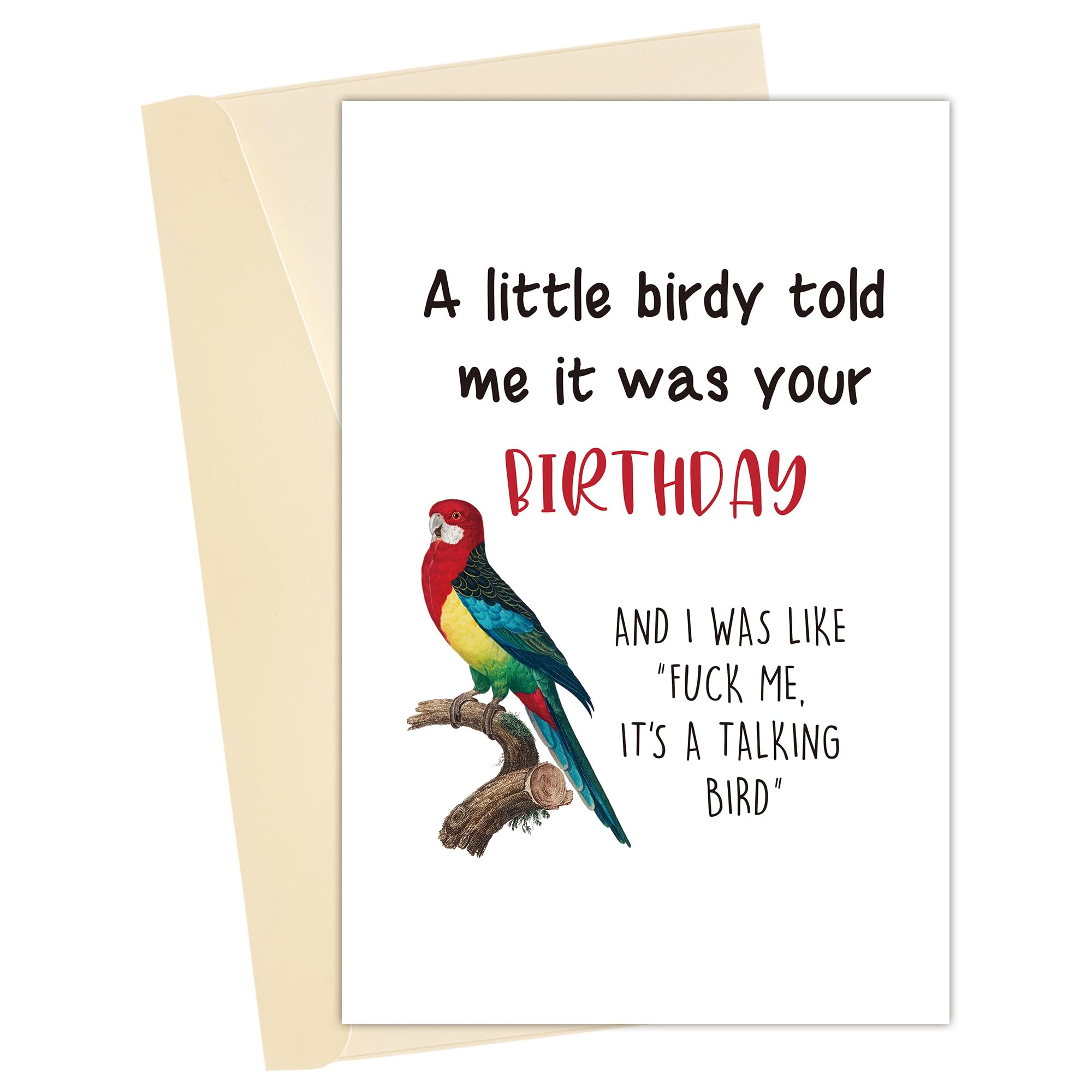 Heyshoo Bird Inspired Funny Birthday Card, Snarky ...