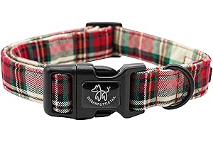 Elegant Little Tail Dog Collar: Festive Charm for Your Furry Friend this Christmas