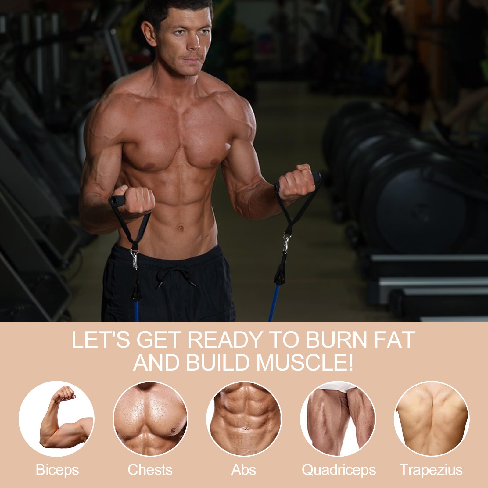 Elastici Fitness, Bande Elastiche 5 Livelli di Resistenza, Elastici Palestra, Elastici per Allenamento con Maniglie, Ancoraggio, Cinturino Alla Caviglia, Resistance Bands per Yoga, Pilates