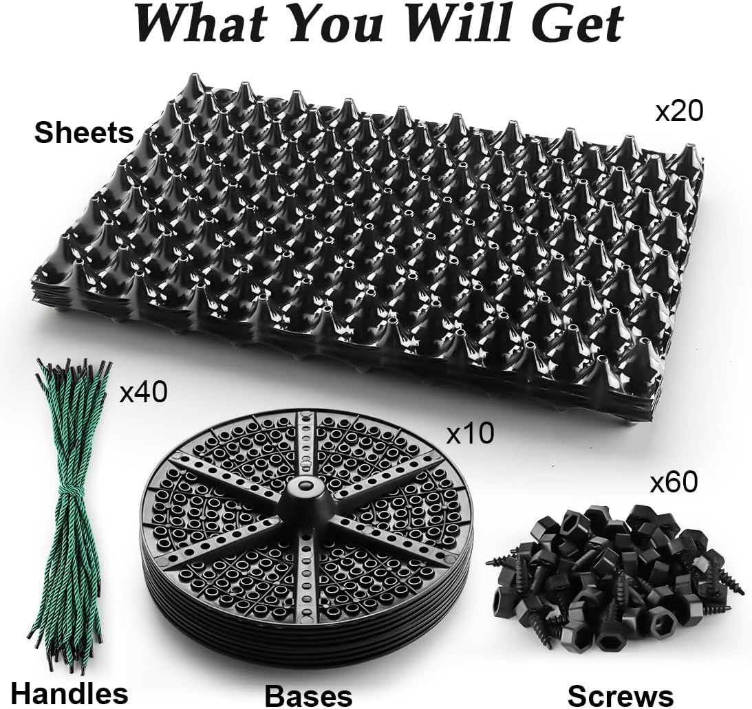 https://m.media-amazon.com/images/I/71F8Lck6FhL._AC_SL1100_.jpg
